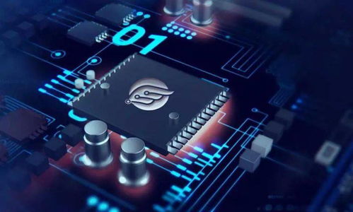 創(chuàng)業(yè)張江 物聯(lián)網領域的 后浪 芯翼信息科技勢頭正勁